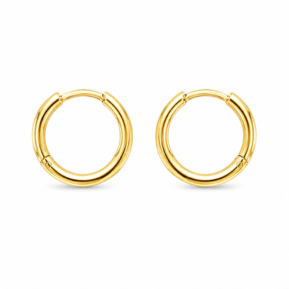 The Calin Hoop Earrings